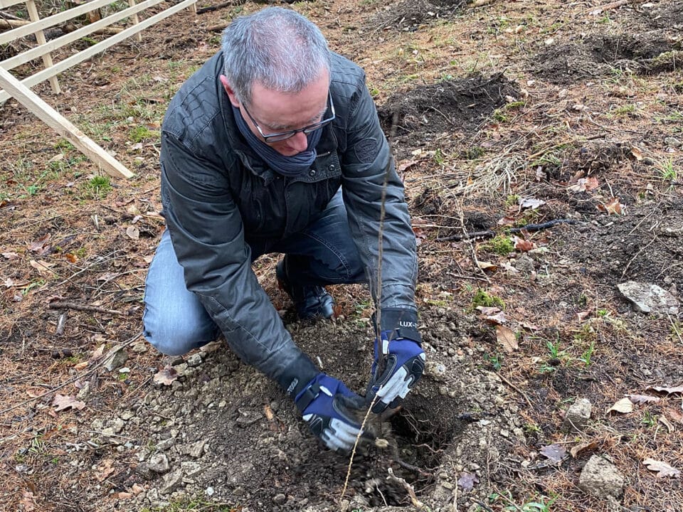 VÖLKEL nimmt an Baumpflanzaktion in Göttingen teil und wird Baumpate für nachhaltigen Klimaschutz 