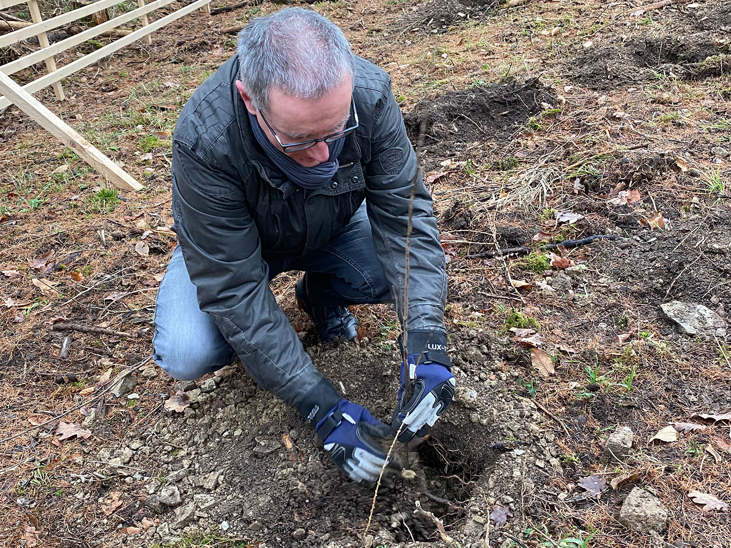 VÖLKEL nimmt an Baumpflanzaktion in Göttingen teil und wird Baumpate für nachhaltigen Klimaschutz 